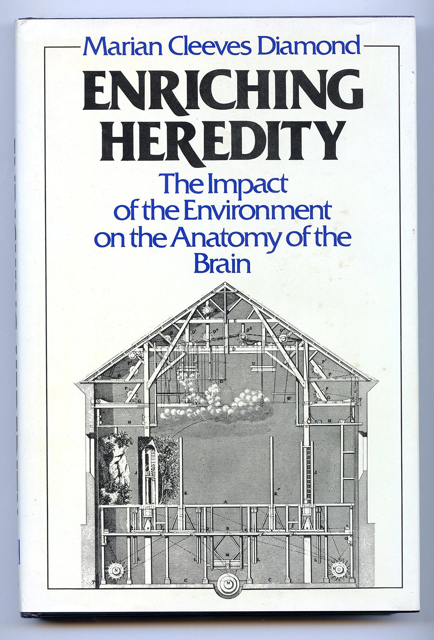 Enriching Heredity: The Impact of the Environment on the Anatomy of the Brain