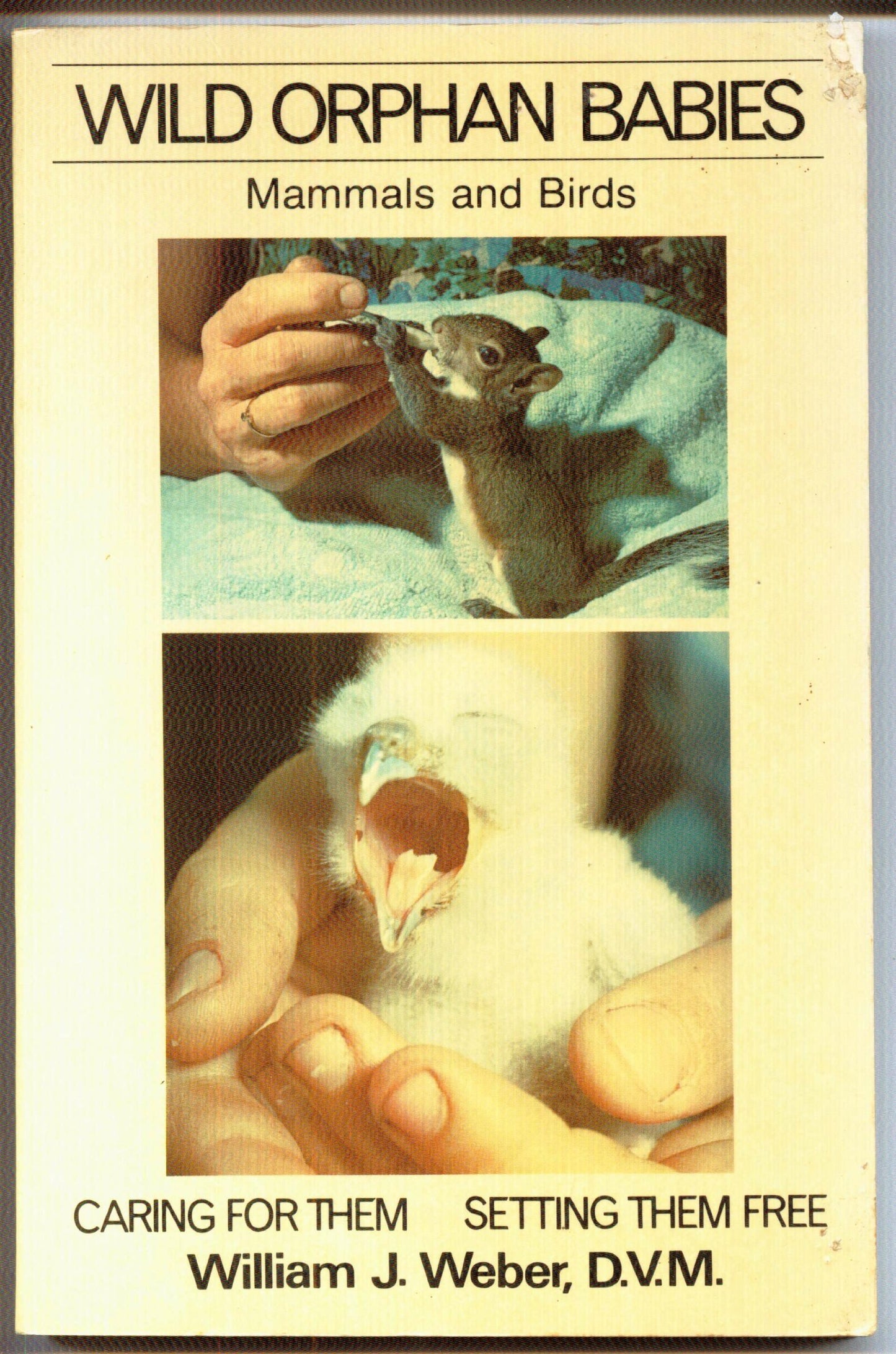 Wild Orphan Babies: Mammals and Birds : Caring for Them and Setting Them Free (Holt Owlet)