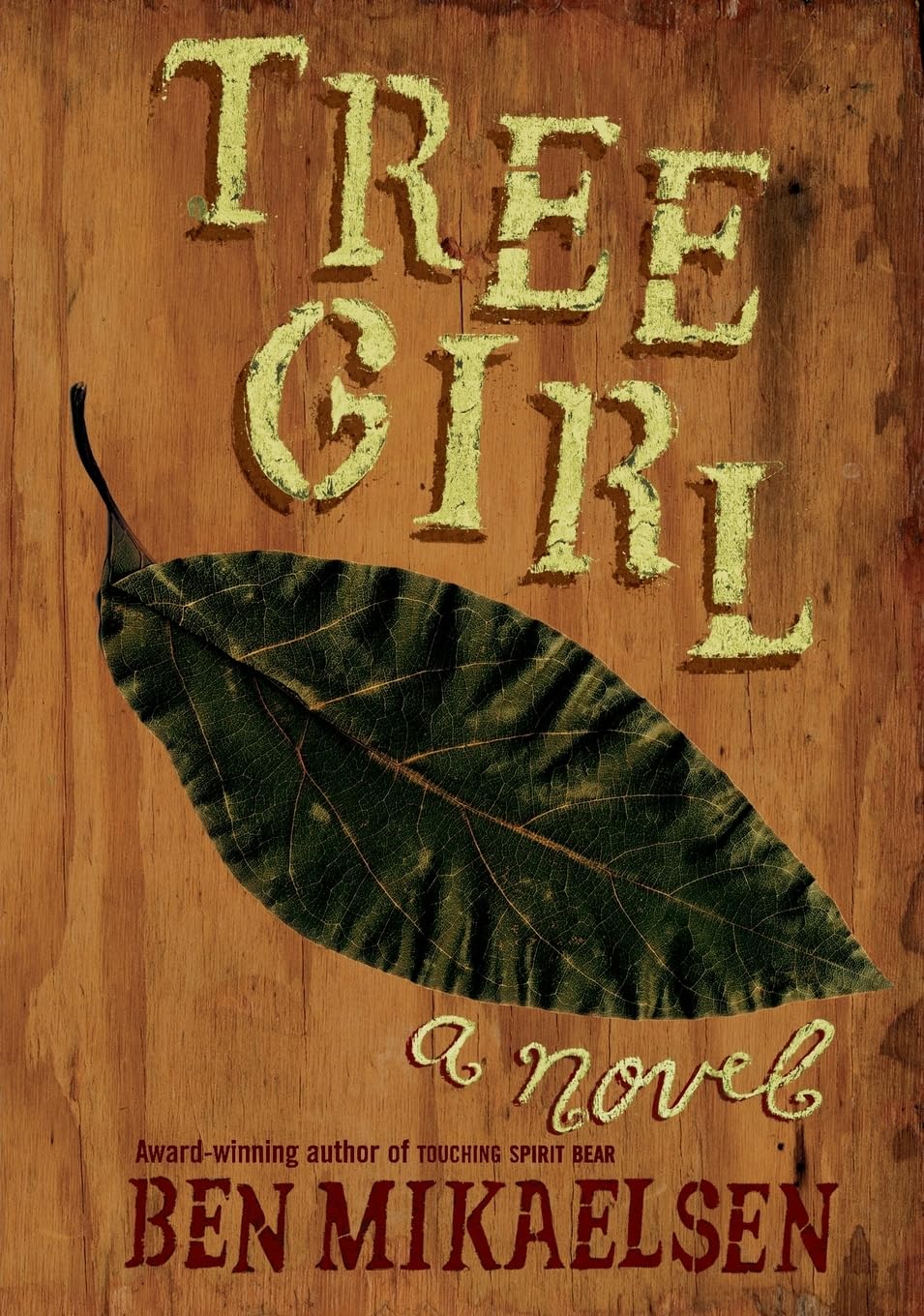 Tree Girl: A Young Adult Novel About a Guatemalan Refugee Searching for Her Sister and Hope