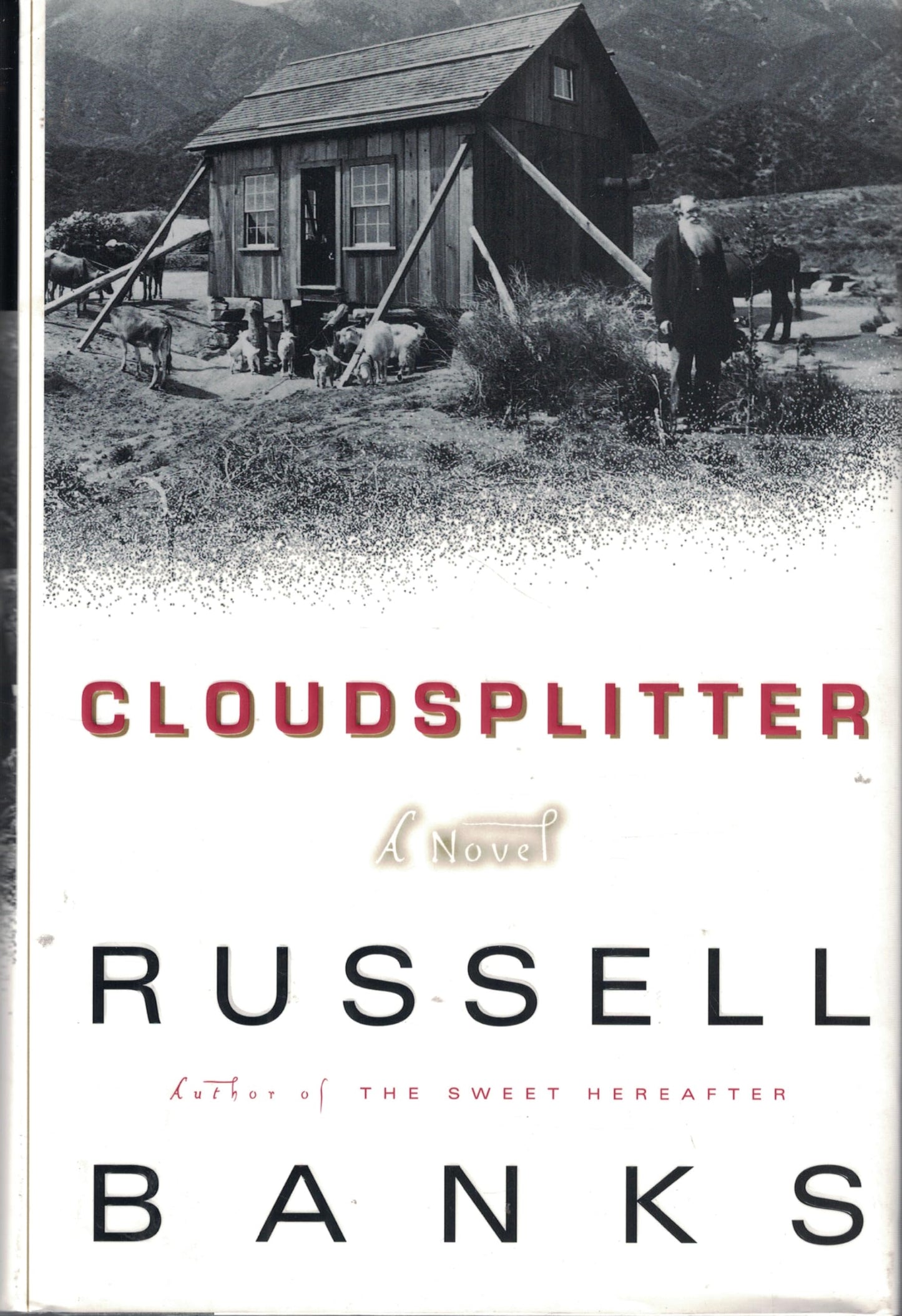 Cloudsplitter: A Novel