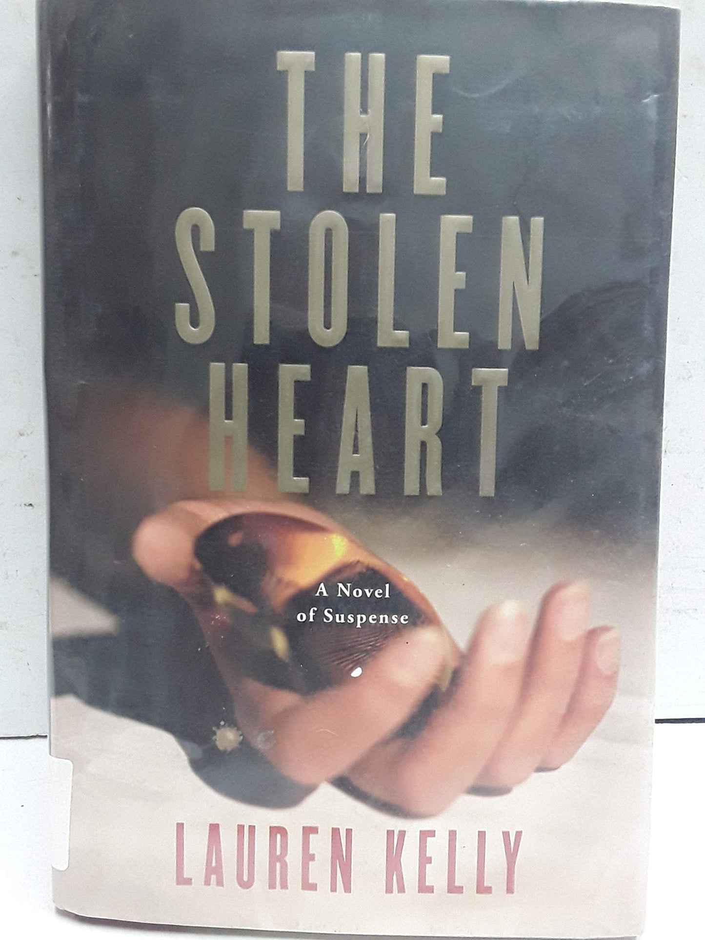 The Stolen Heart: A Novel of Suspense