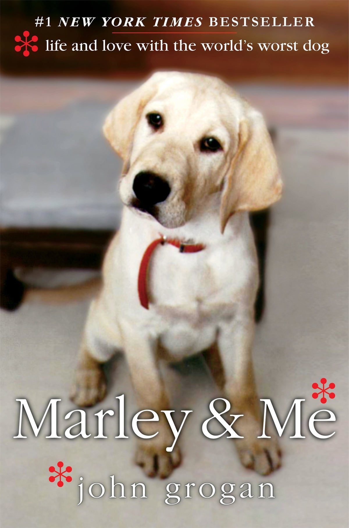 MARLEY & ME: LIFE AND LOVE WITH