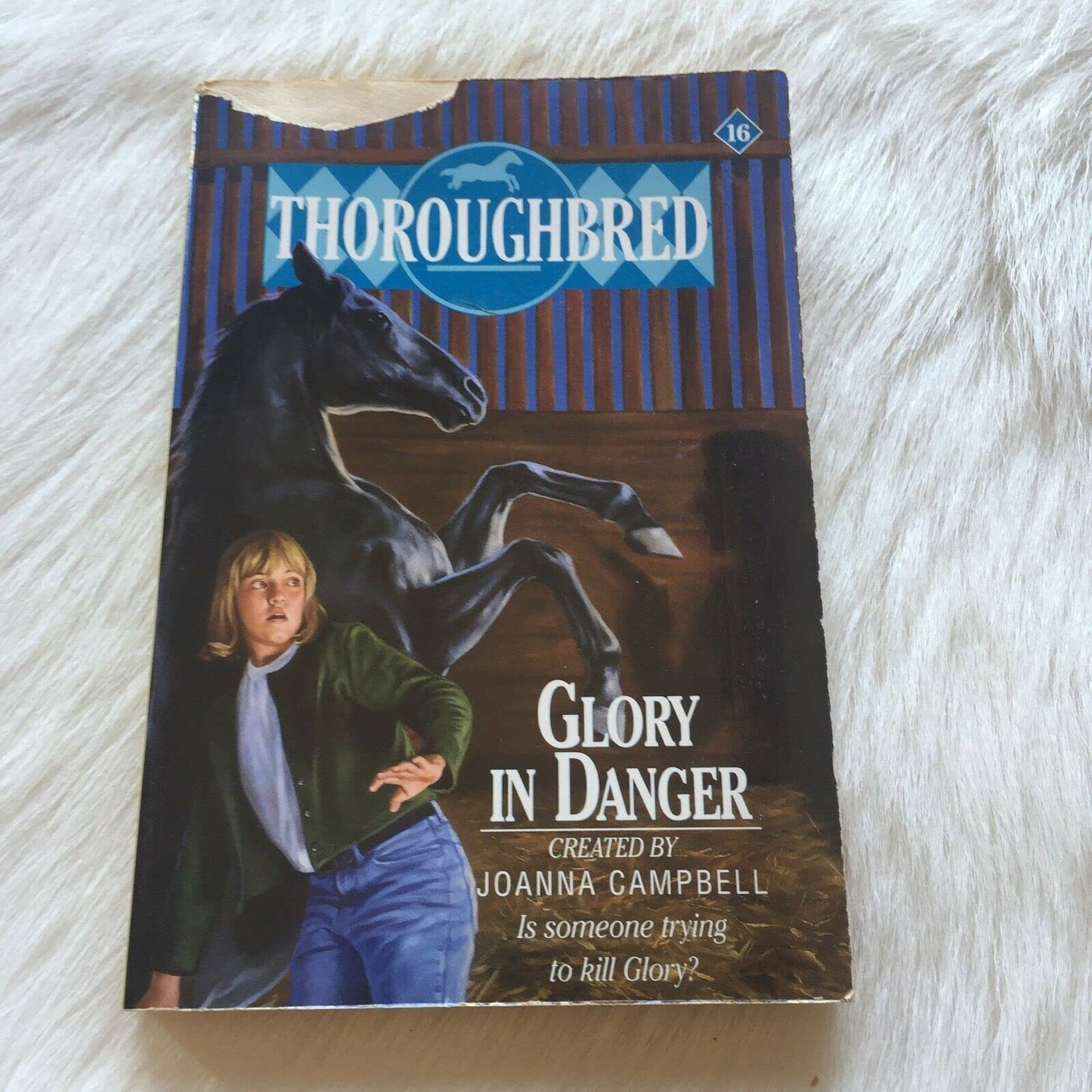 Glory in Danger (Thoroughbred, No 16)