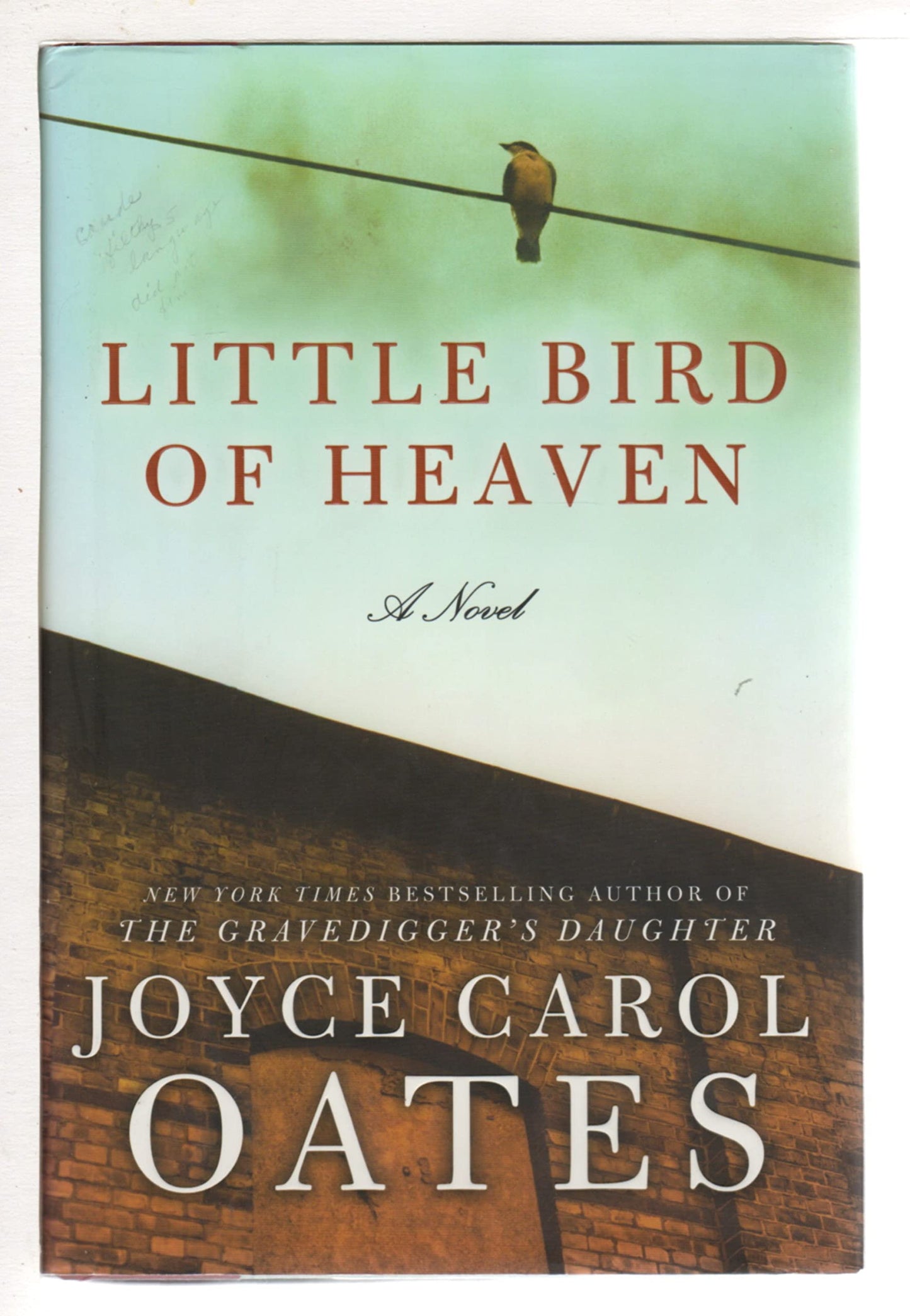 Little Bird of Heaven: A Novel