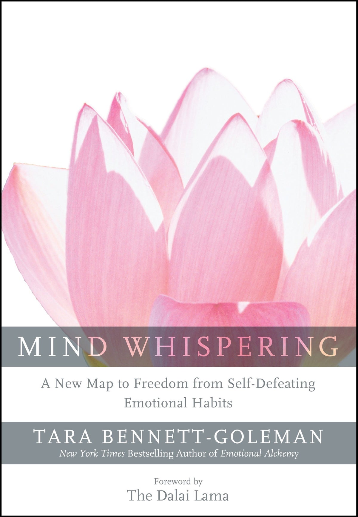 Mind Whispering: A New Map to Freedom from Self-Defeating Emotional Habits – A Groundbreaking Guide to Cognitive Psychology and Neuroscience