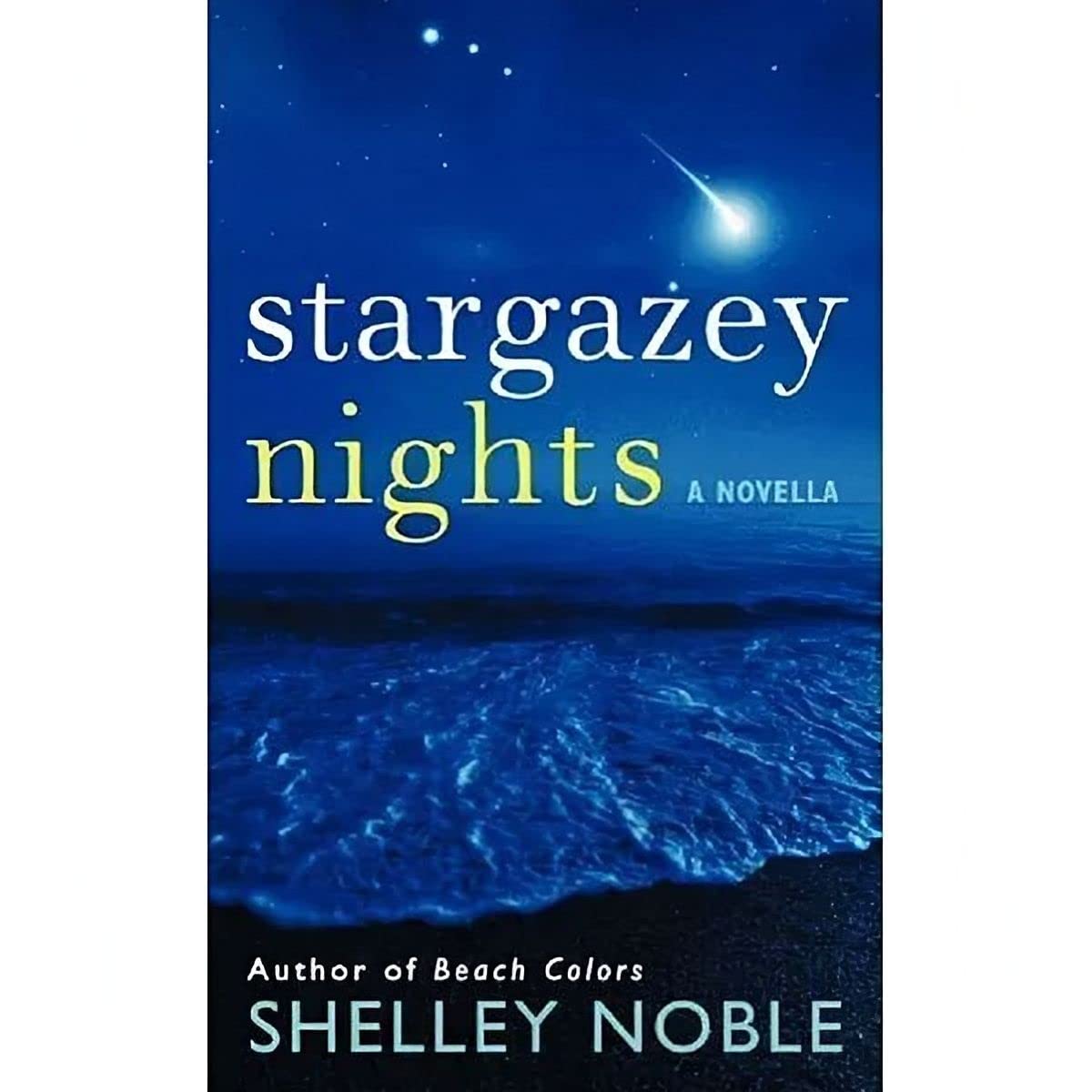 Stargazey Nights: A Novella (A Stargazey Point Novella, 1)