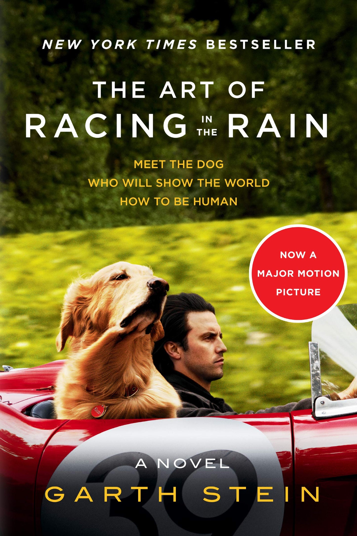 The Art of Racing in the Rain Tie-in: A Novel - 2811