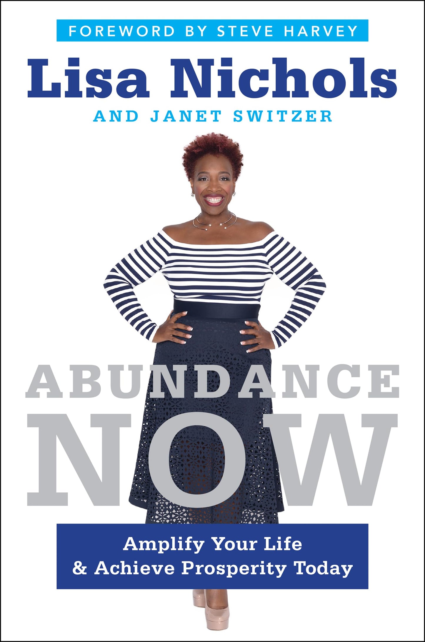 Abundance Now: Amplify Your Life & Achieve Prosperity Today - 8855
