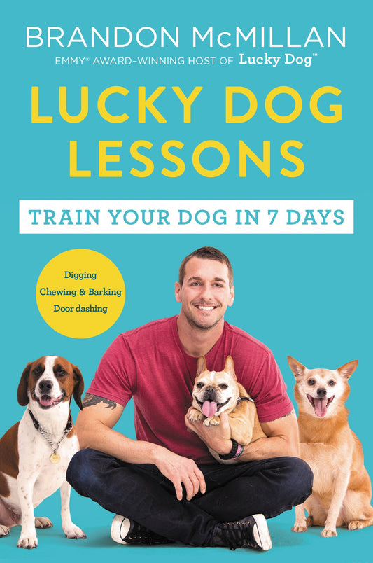 LUCKY DOG LESSONS: FROM RENOWNED - 2028