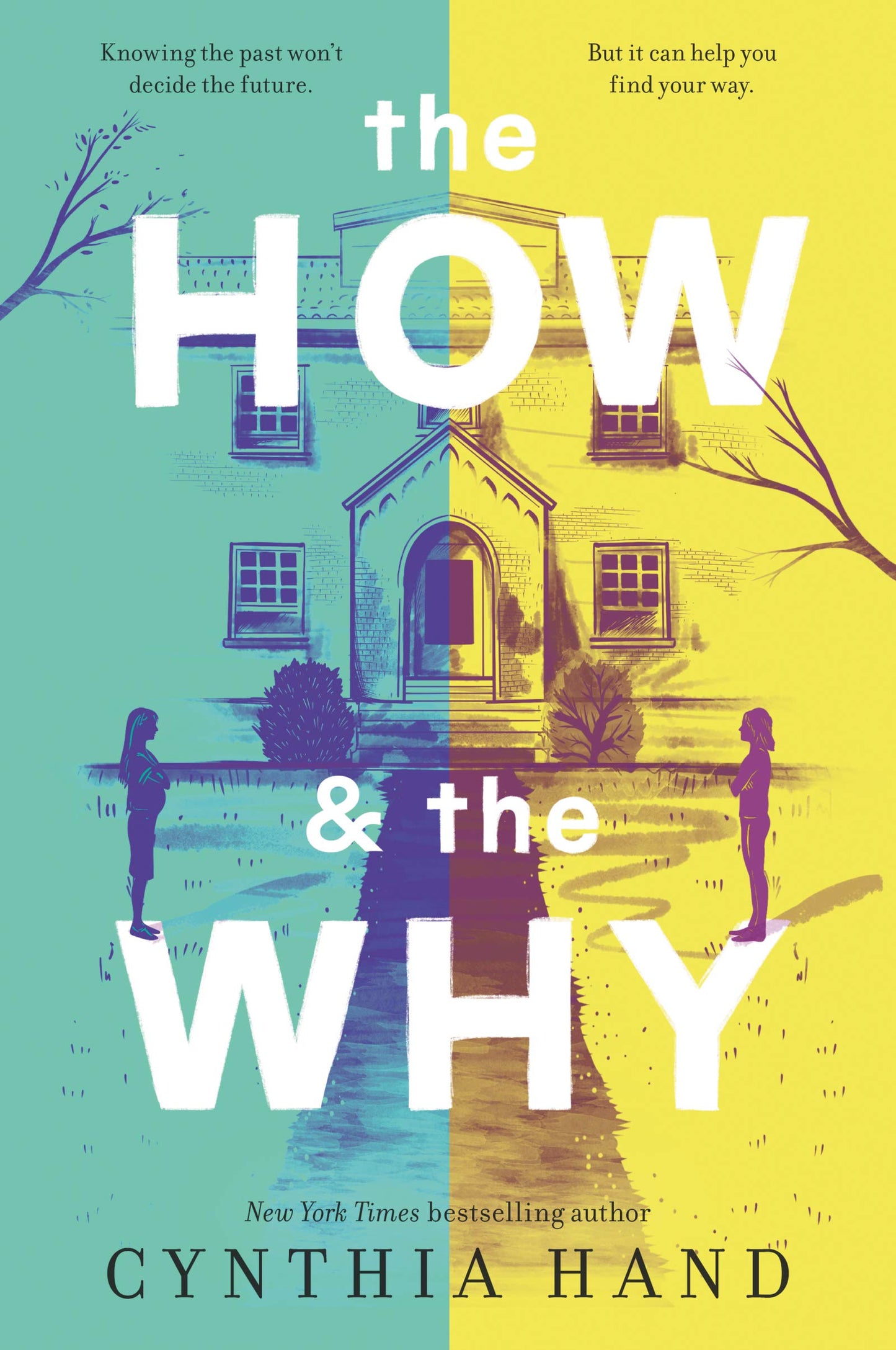 The How & the Why: A Contemporary YA Novel About Adoption, Family, and the Search for Belonging