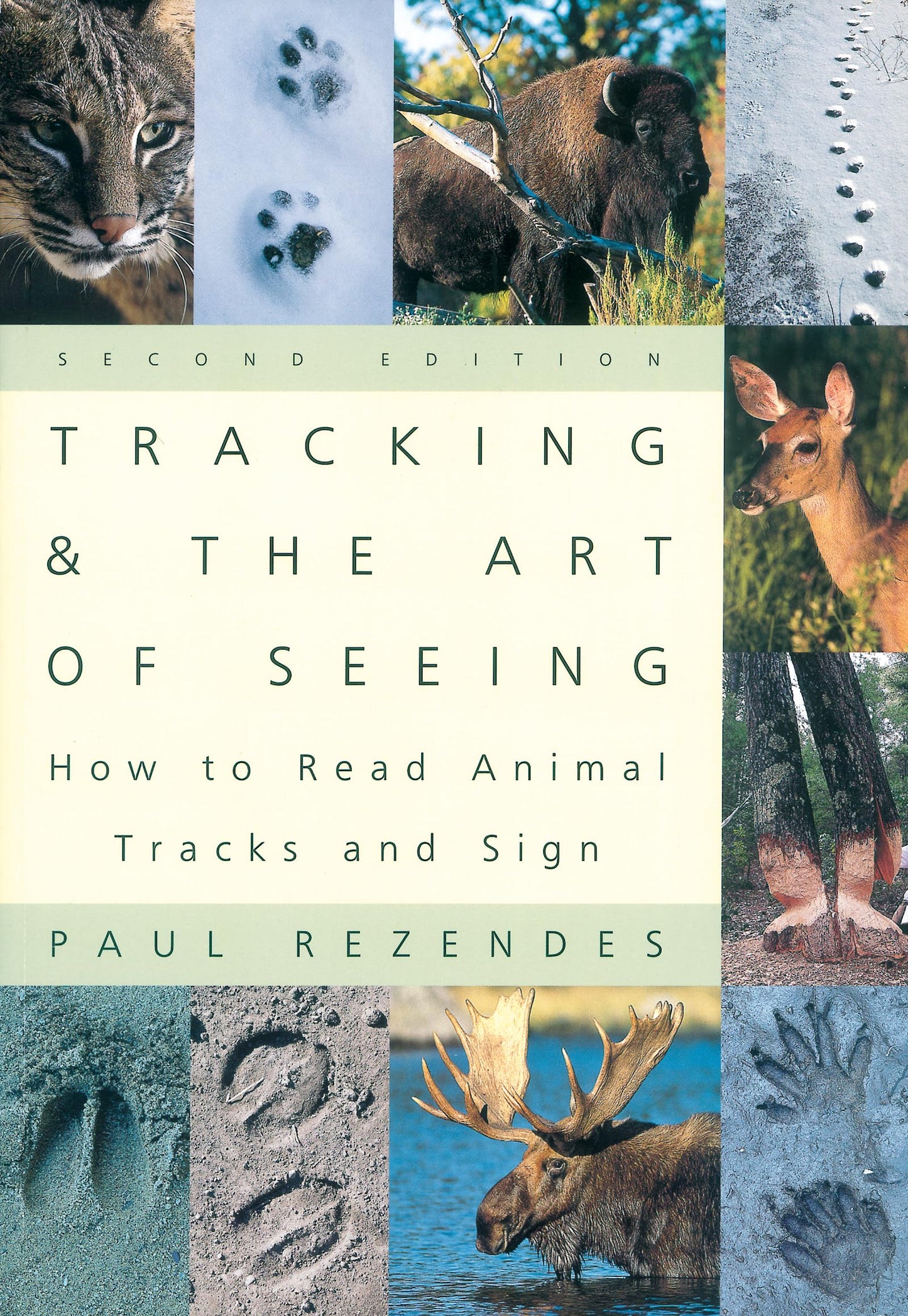 Tracking and the Art of Seeing: How to Read Animal Tracks and Sign - 4296