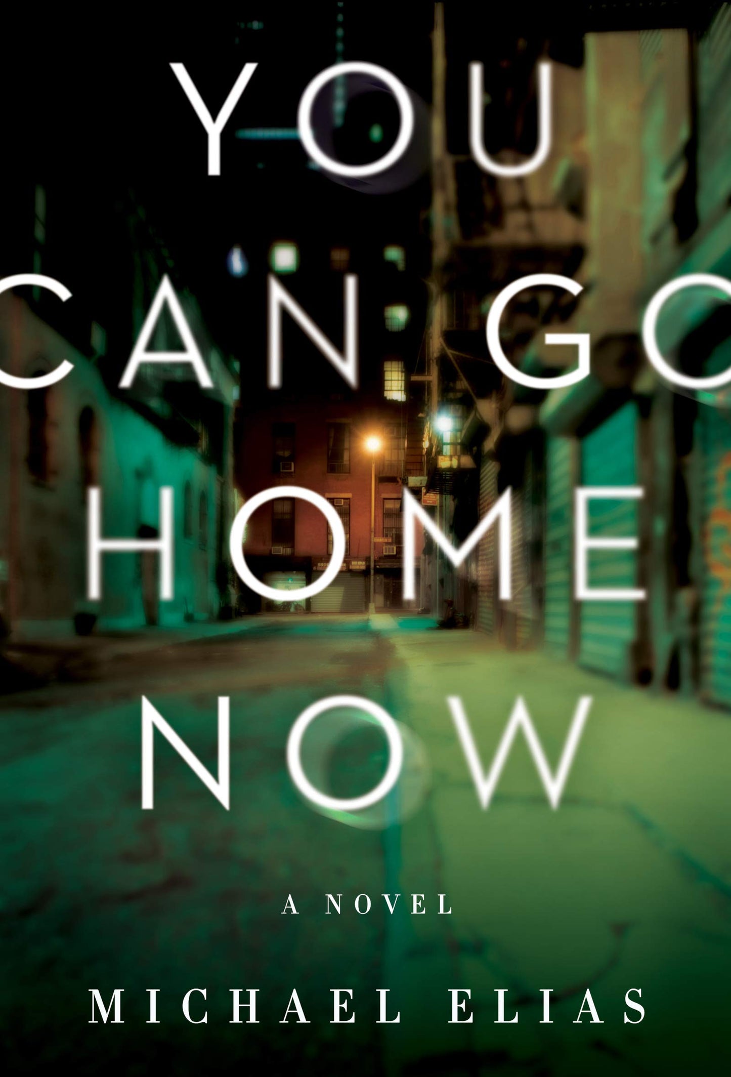 You Can Go Home Now: A Novel - 8633