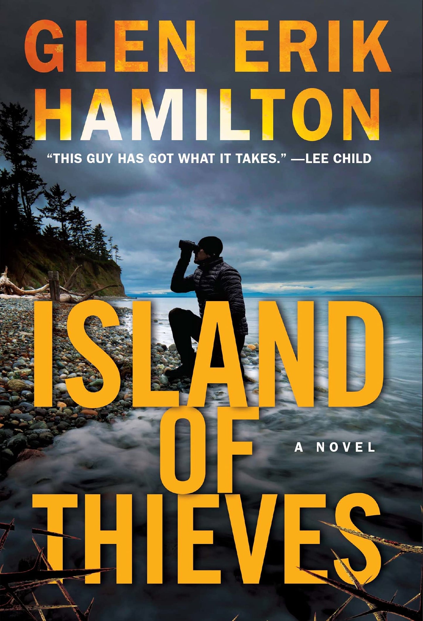 Island of Thieves: Sixth Van Shaw Thriller – Ex-Military Thief Framed in Pacific Northwest Crime