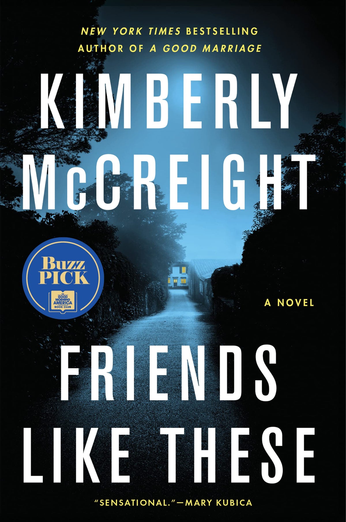 Friends Like These: A Twisty Domestic Thriller of Old Friends, Deadly Secrets, and Murder