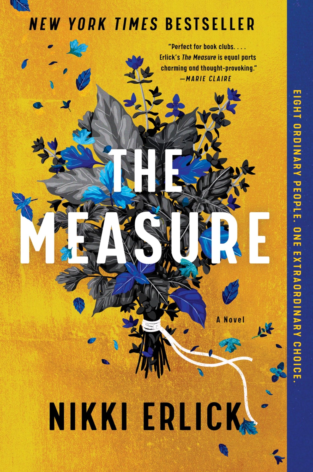 The Measure: A Novel