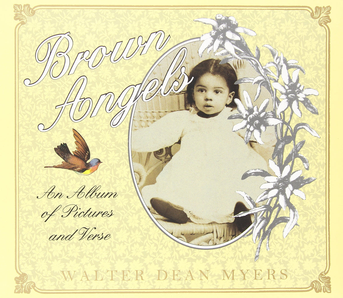 Brown Angels: An Album of Pictures and Verse