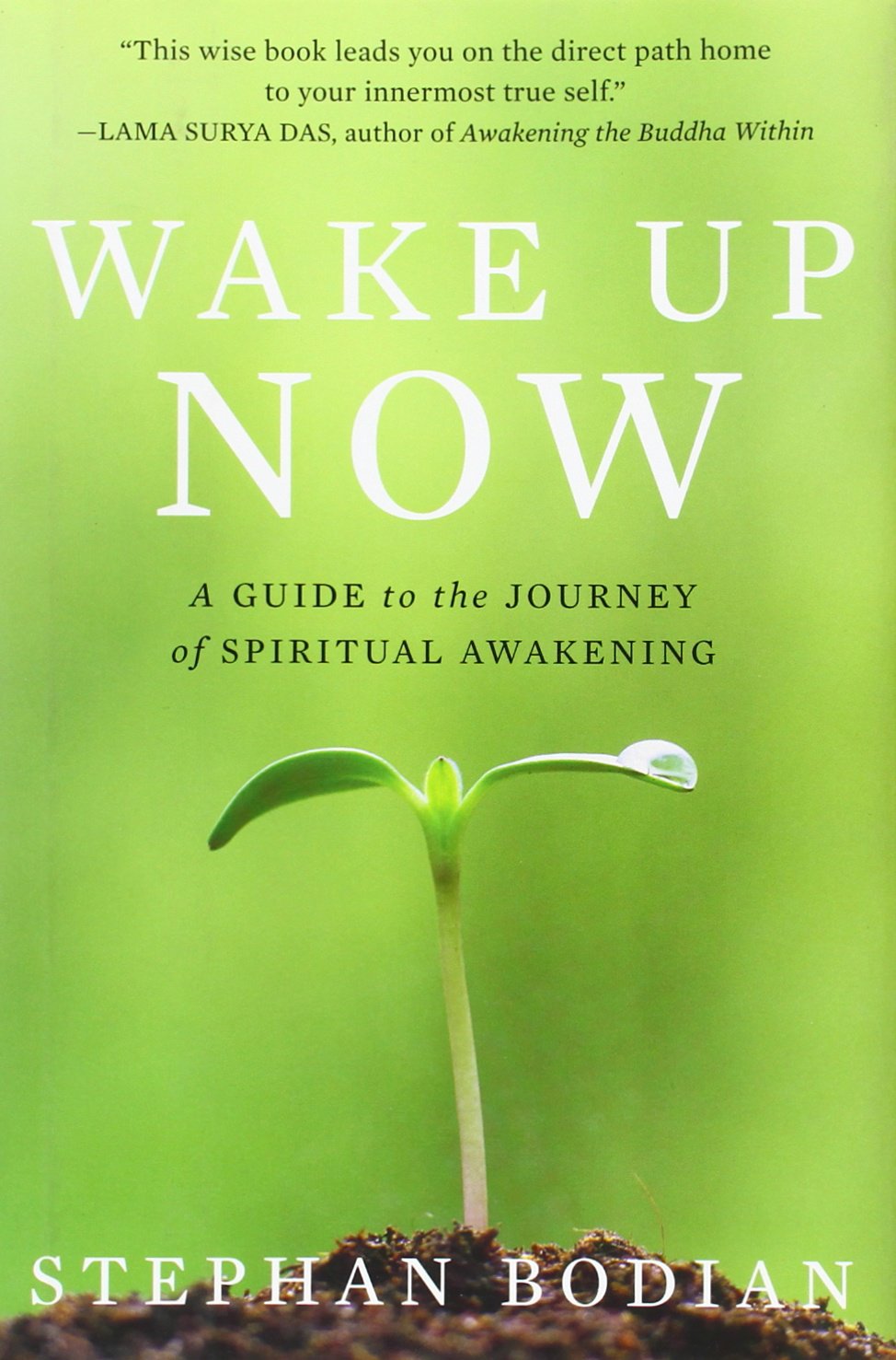 Wake Up Now: A Guide to the Journey of Spiritual Awakening