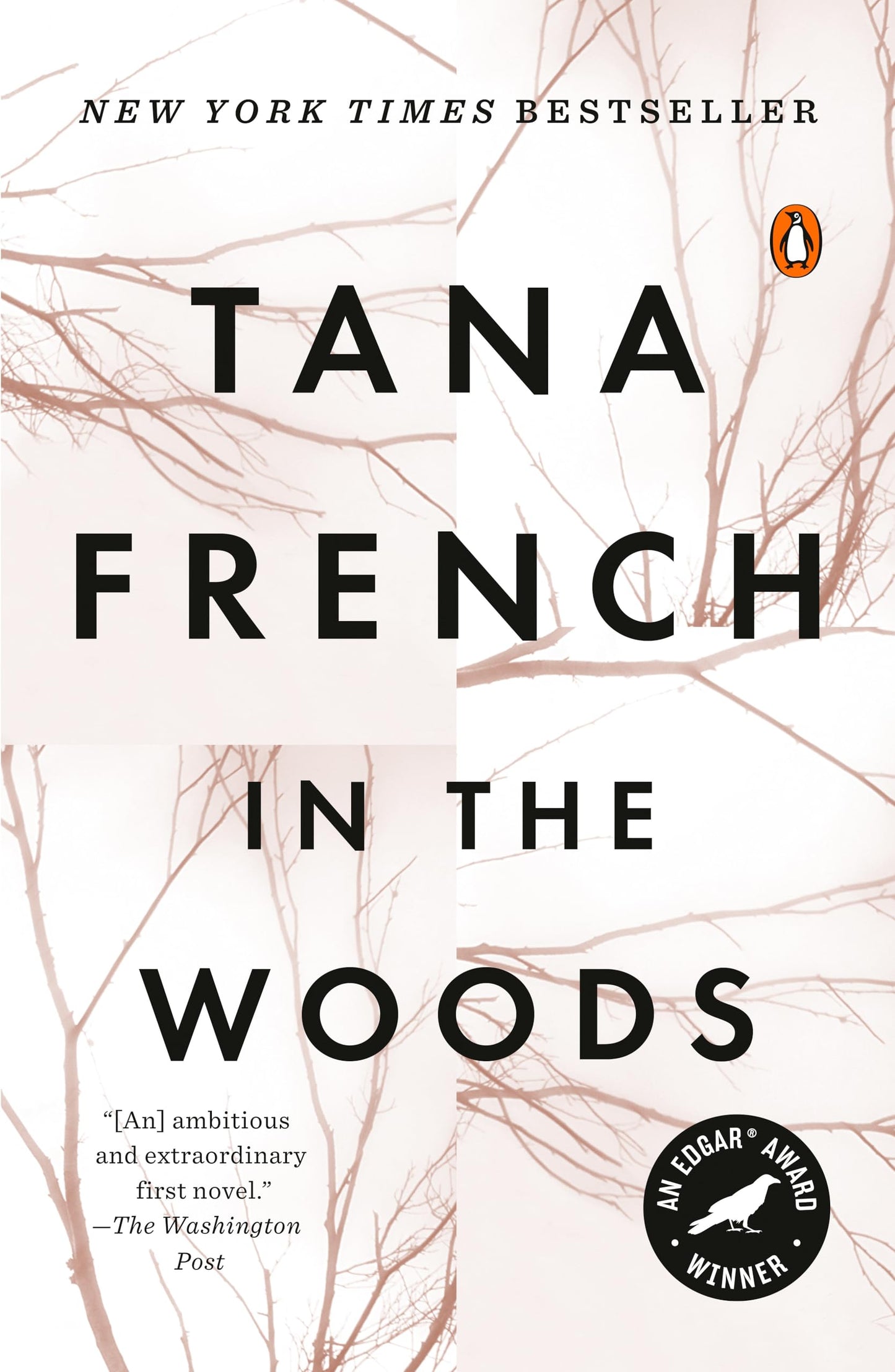 IN THE WOODS: A NOVEL (DUBLIN MU - 6727
