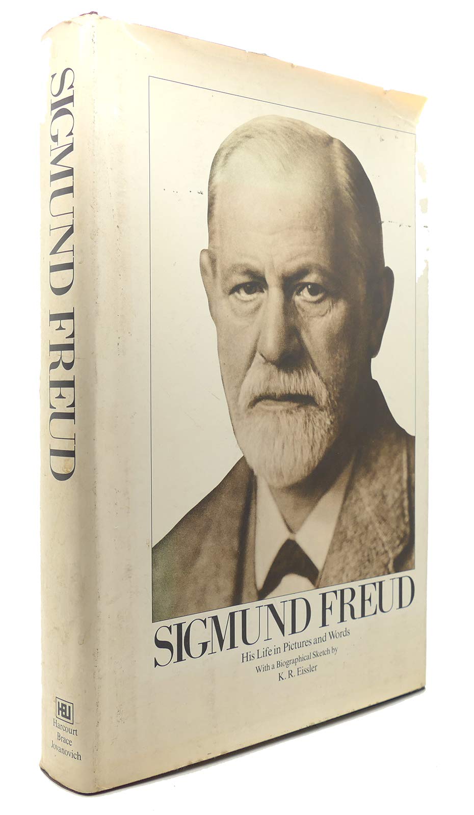 Sigmund Freud: His Life in Pictures and Words - 3703