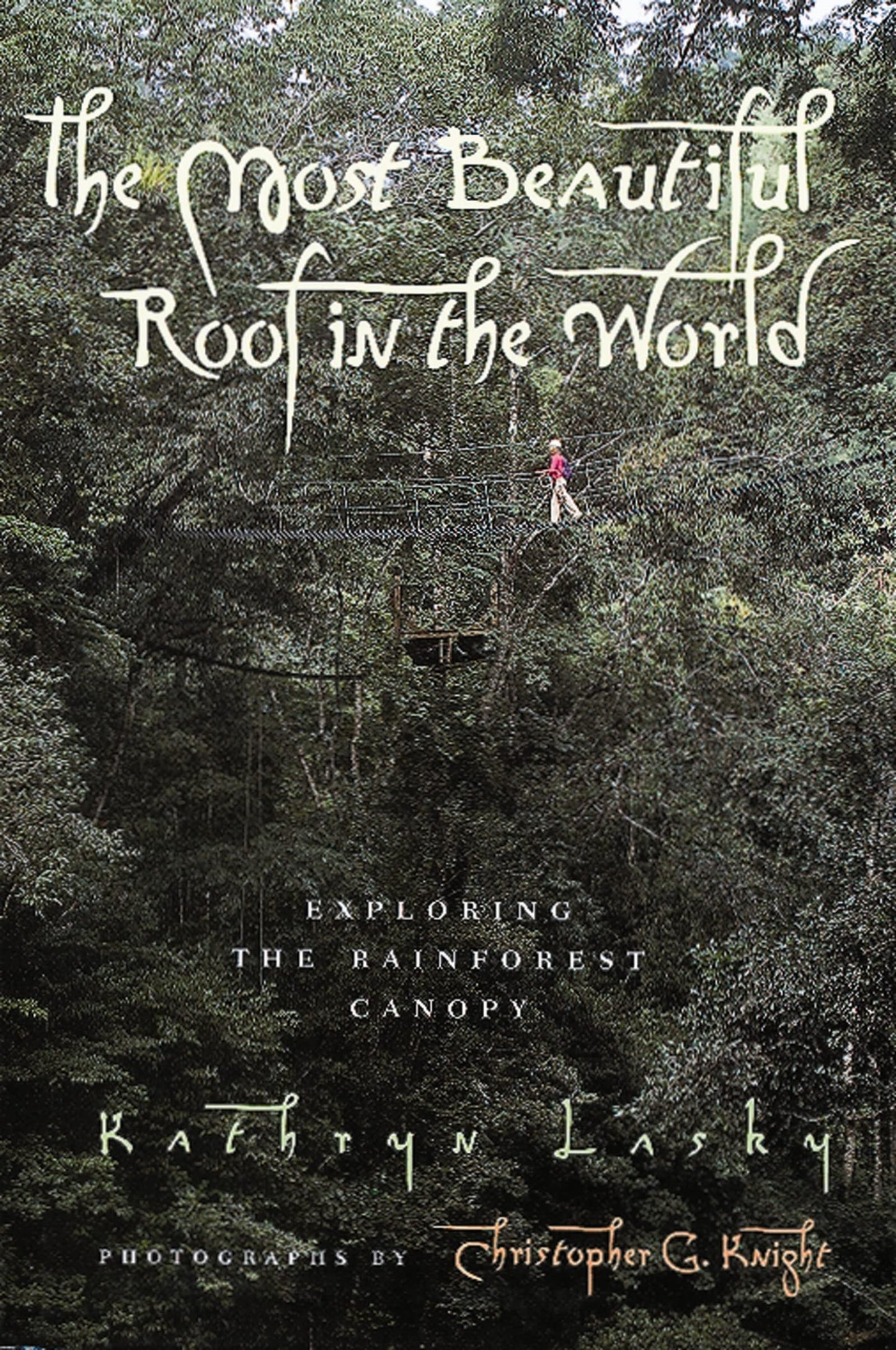 The Most Beautiful Roof in the World: Exploring the Rainforest Canopy - 6296