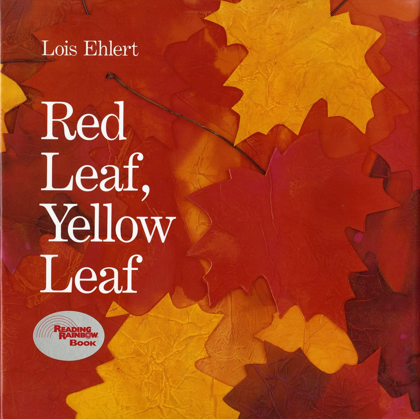 Red Leaf, Yellow Leaf - 9791