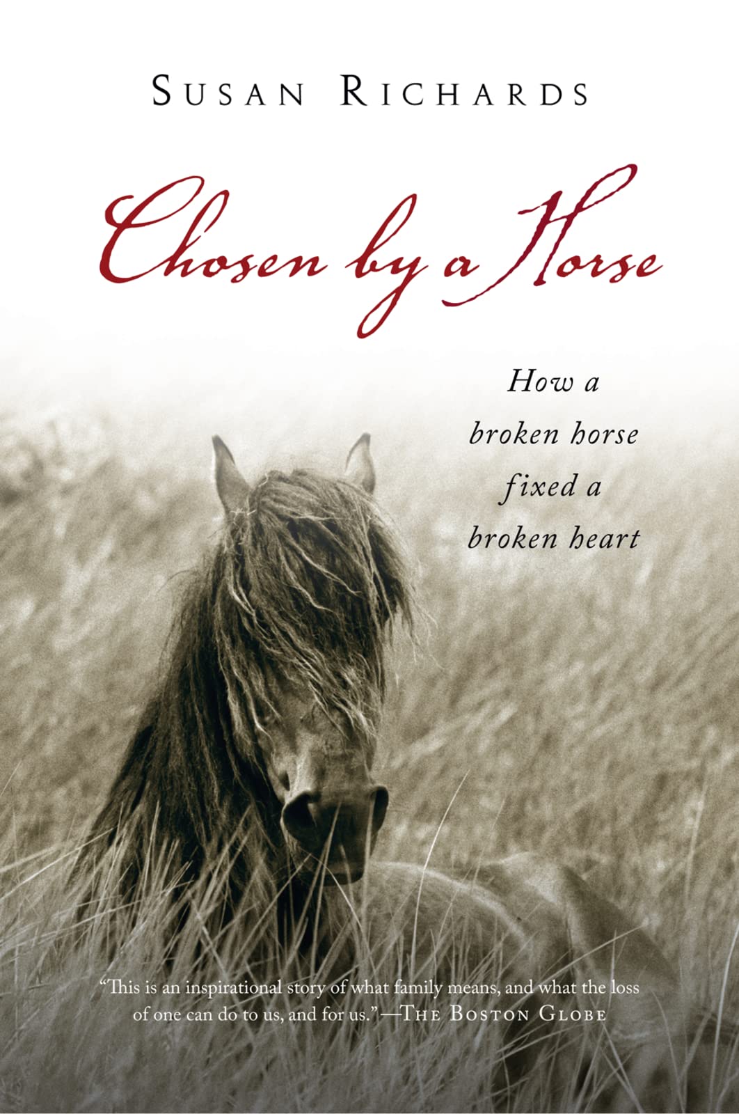 CHOSEN BY A HORSE