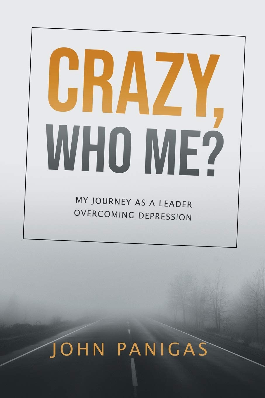 Crazy, Who Me?: My Journey as a Leader Overcoming Depression