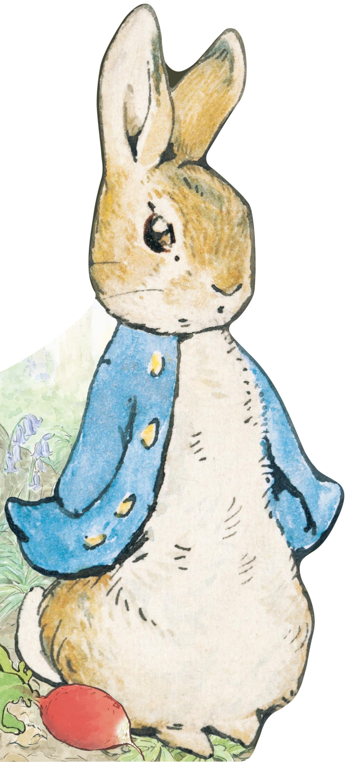 All About Peter (Peter Rabbit) - 7547