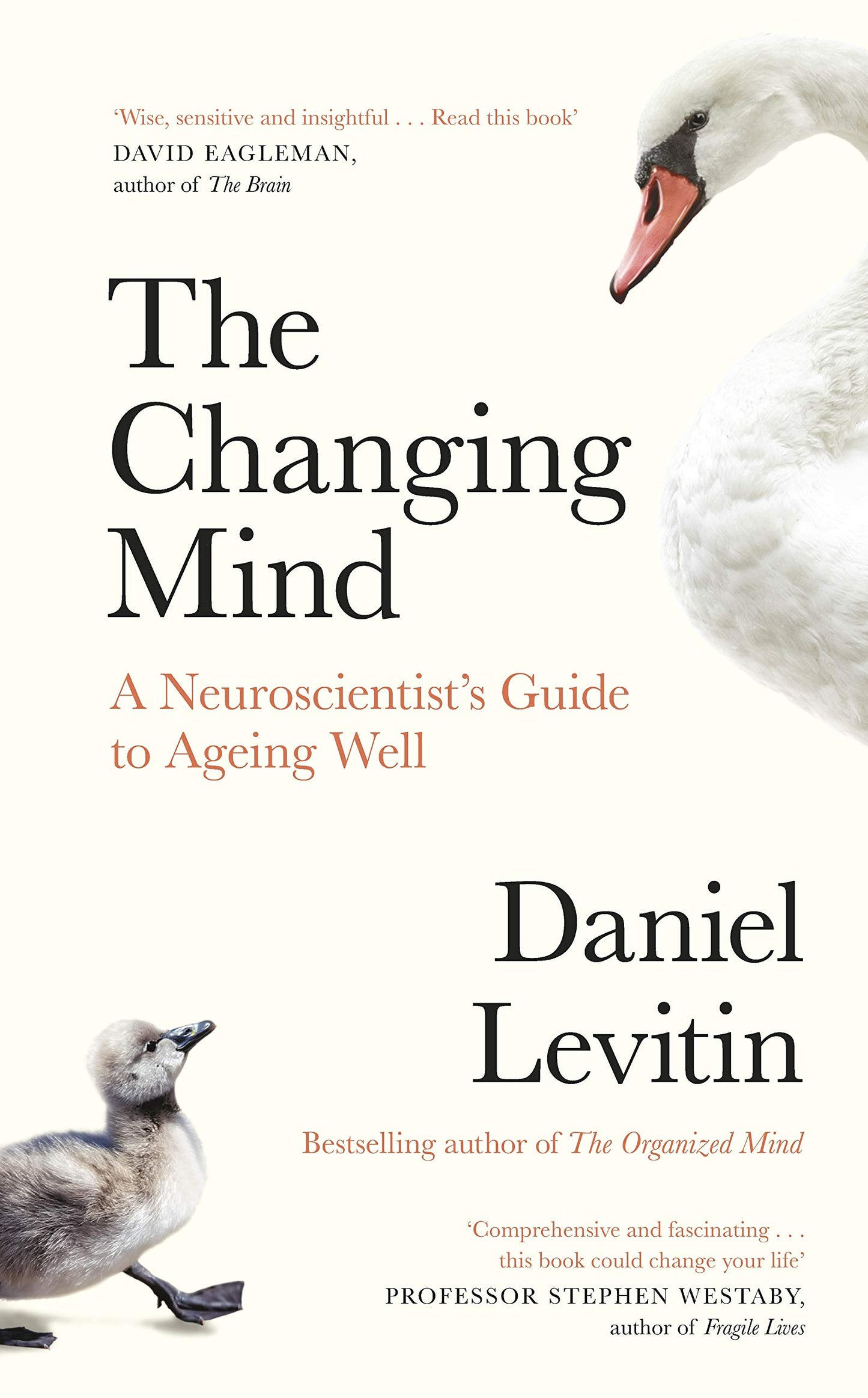 Successful Ageing: Getting the Most Out of the Rest of Your Life
