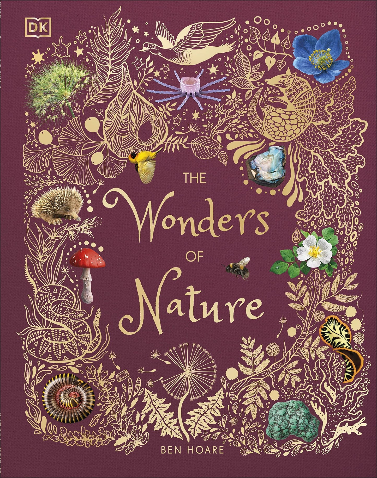 The Wonders of Nature - 2740