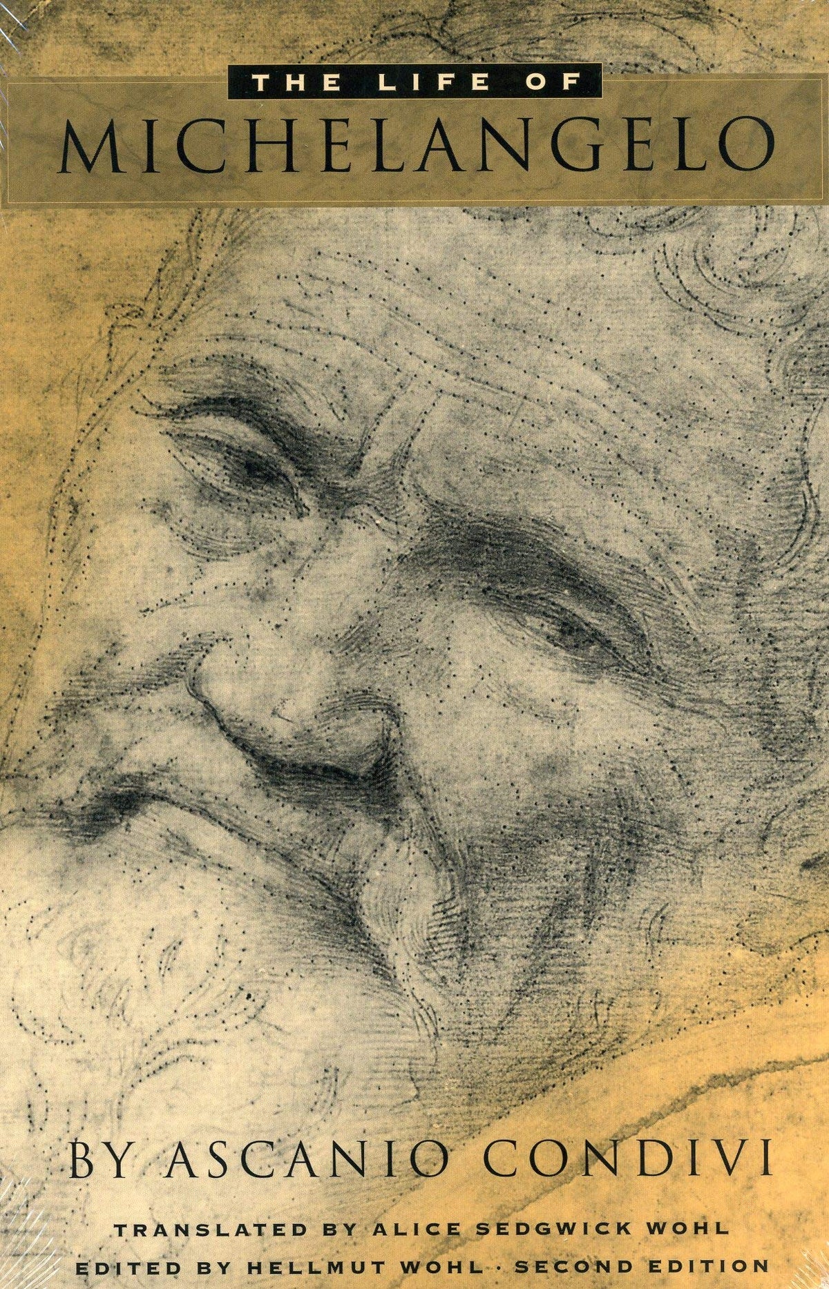 The Life of Michelangelo, 2nd Edition