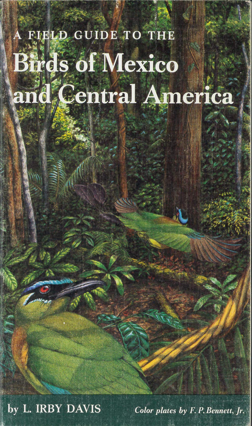 Field Guide to Birds of Mexico