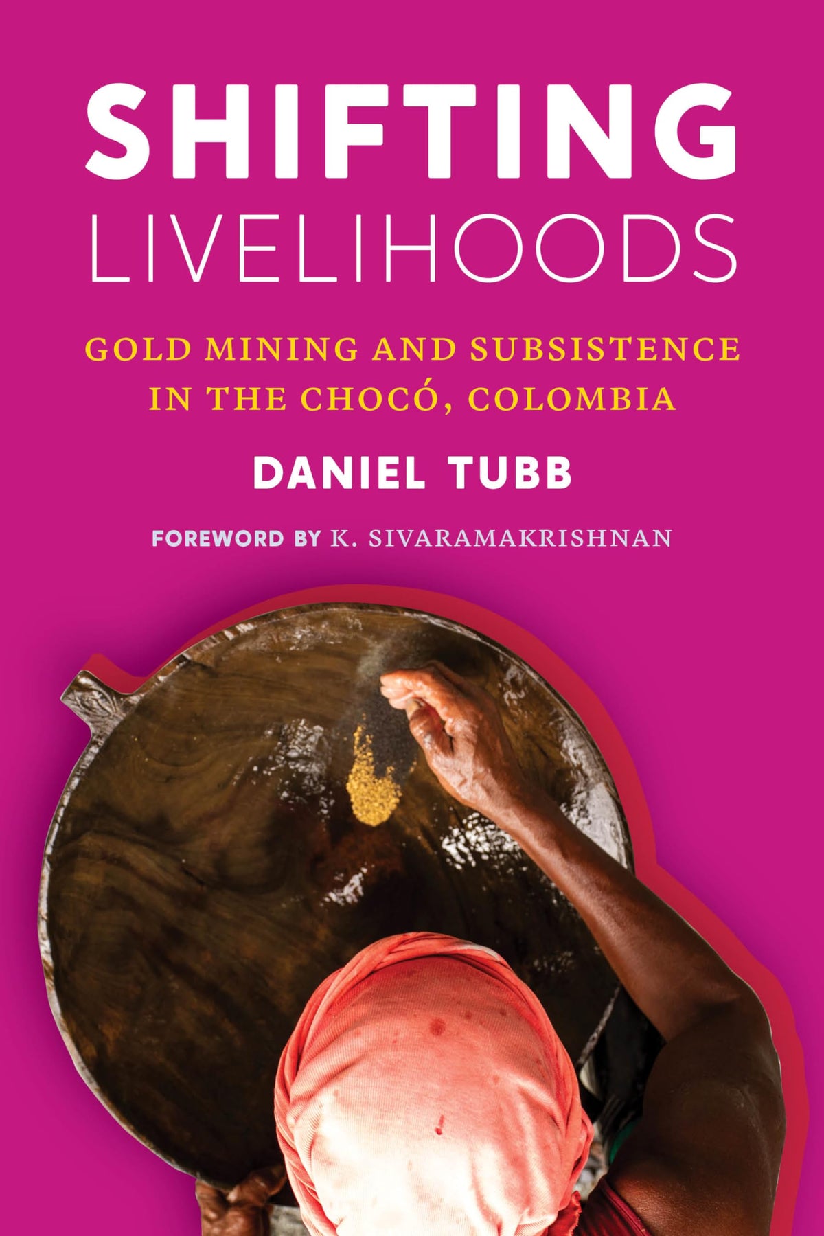 Shifting Livelihoods: Gold Mining and Subsistence in the Chocó, Colombia (Culture, Place, and Nature)