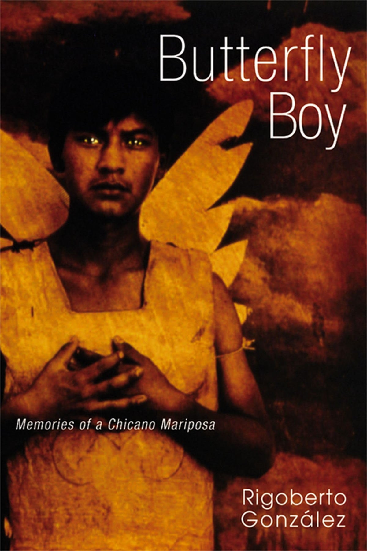 Butterfly Boy: Memories of a Chicano Mariposa (Writing in Latinidad: Autobiographical Voices of U.S. Latinos/as)