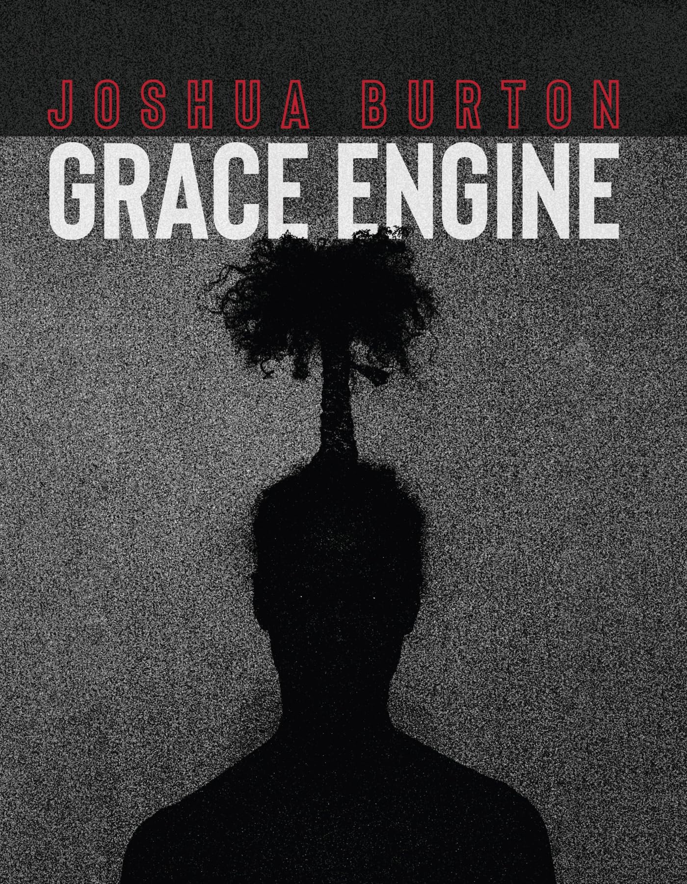 Grace Engine (Wisconsin Poetry Series) - 5034