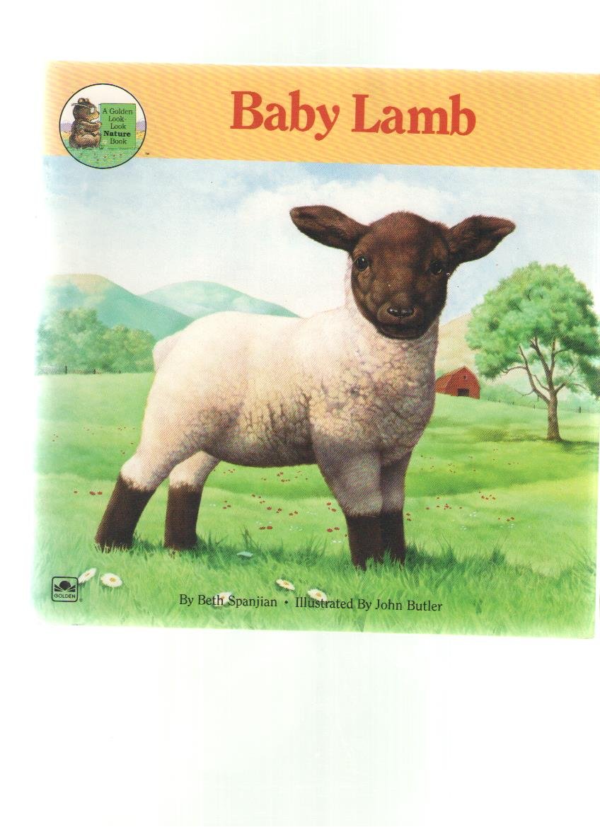 Baby Lamb (Look Look Nature Book)