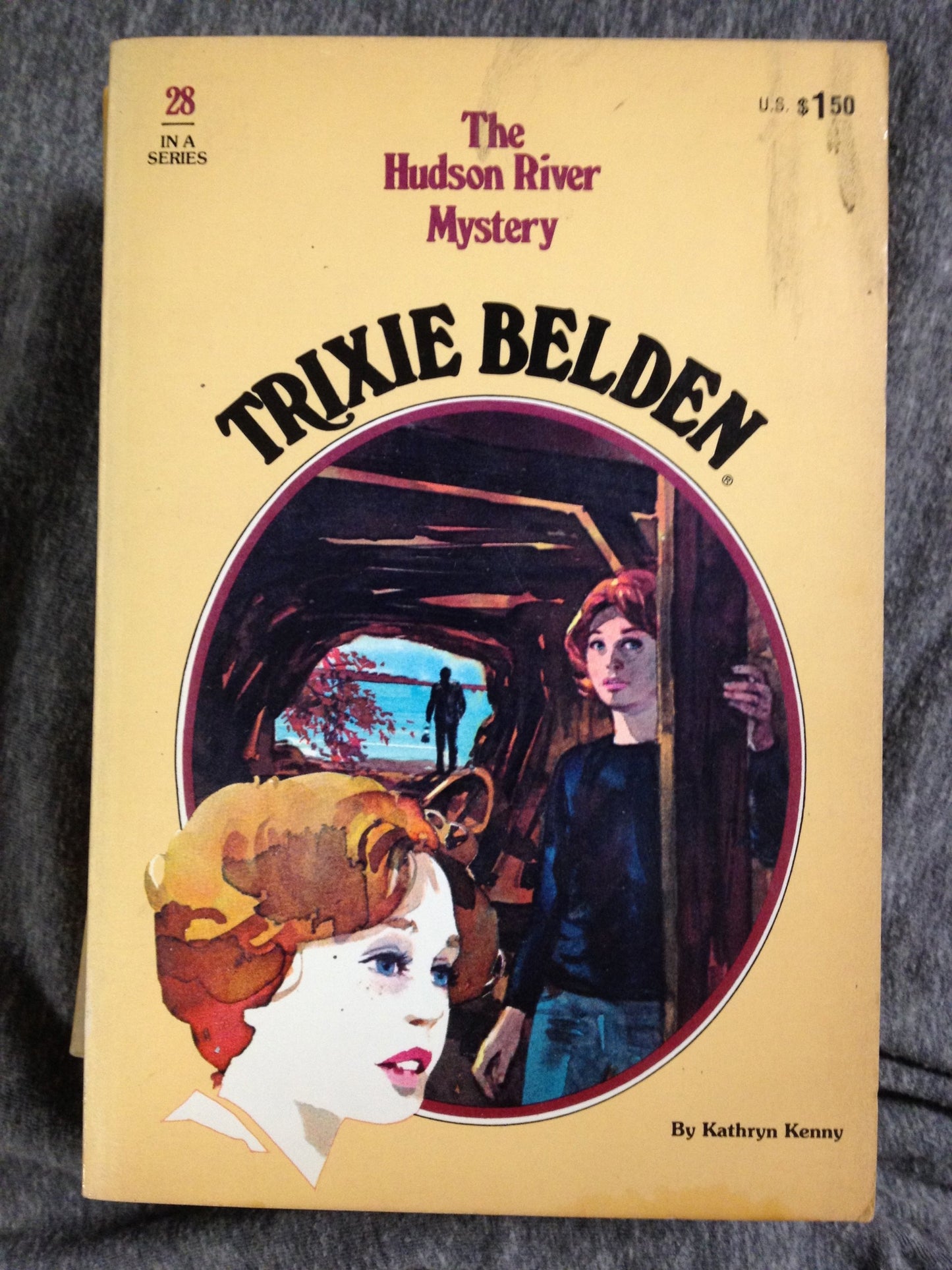 The Hudson River Mystery