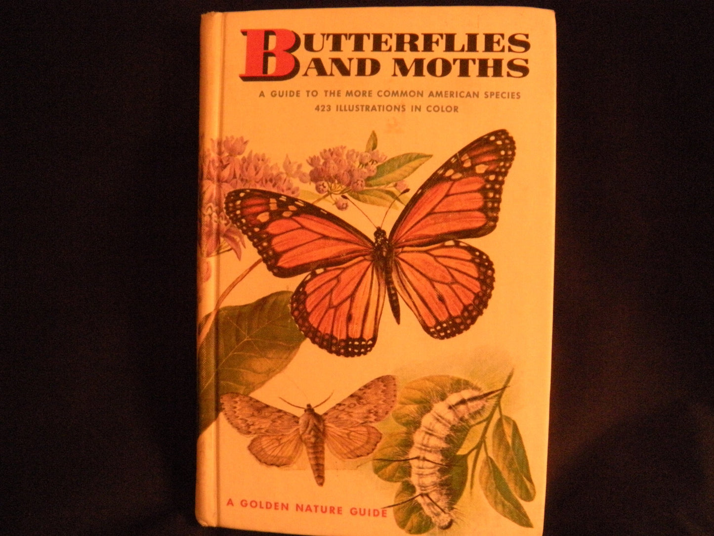 Butterflies and Moths (Golden Guides)