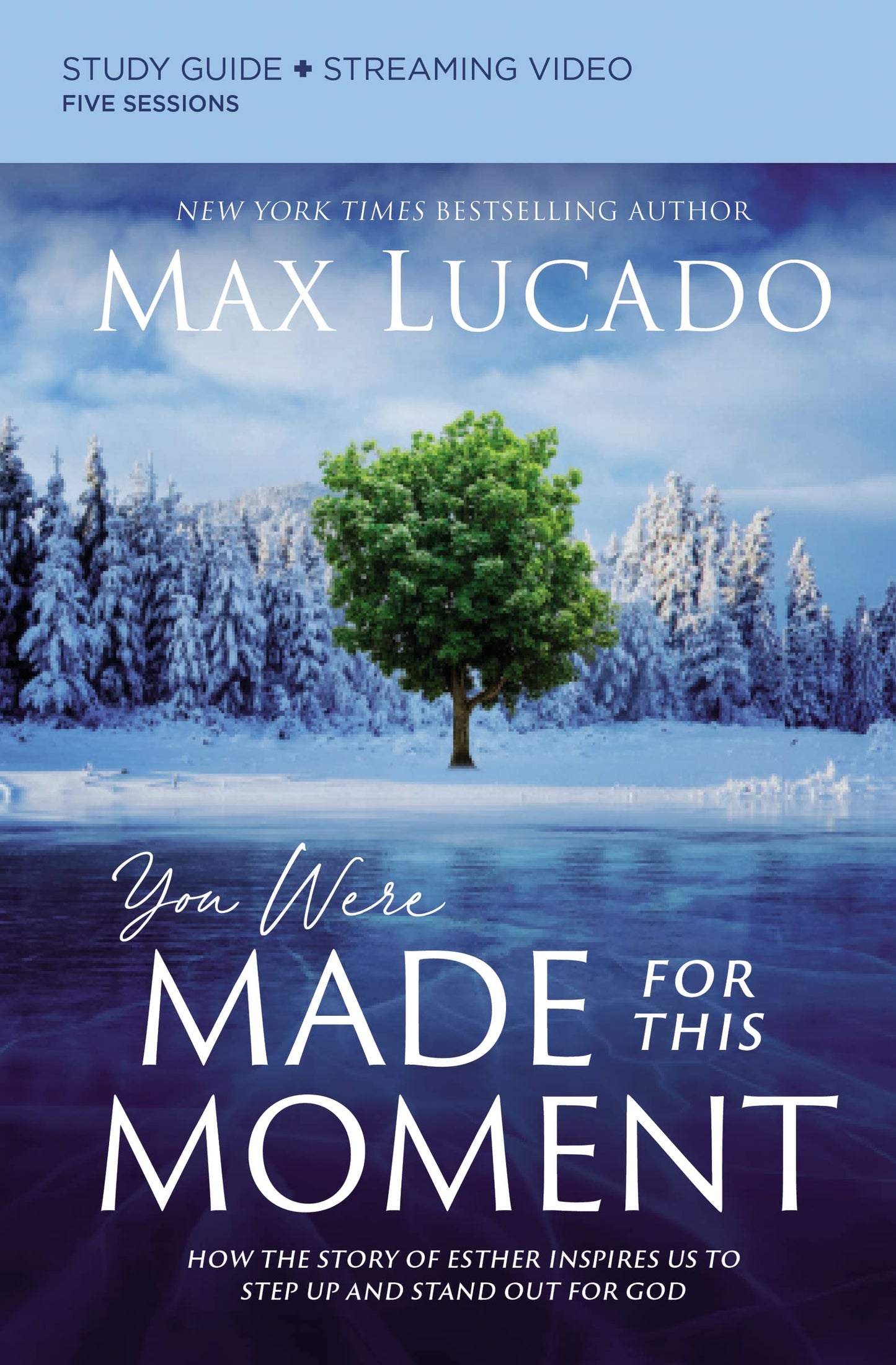 You Were Made for This Moment Bible Study Guide plus Streaming Video: How the Story of Esther Inspires Us to Step Up and Stand Out for God - 4827