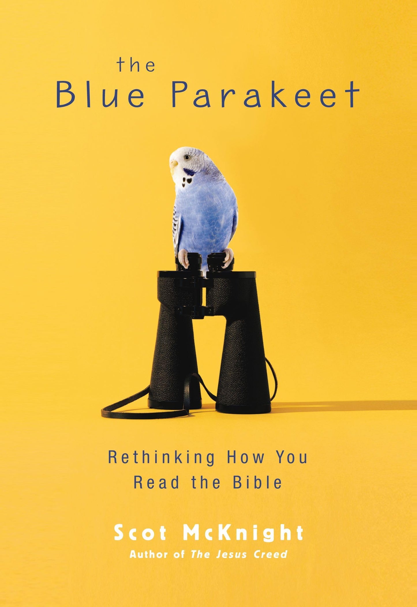 The Blue Parakeet: Rethinking How You Read the Bible - 1425