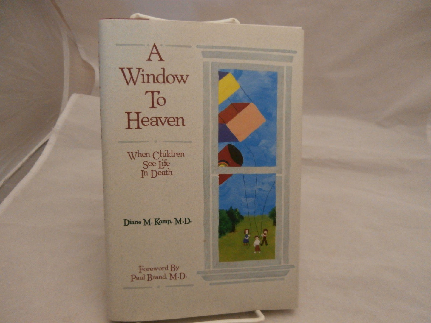A Window to Heaven: When Children See Life in Death