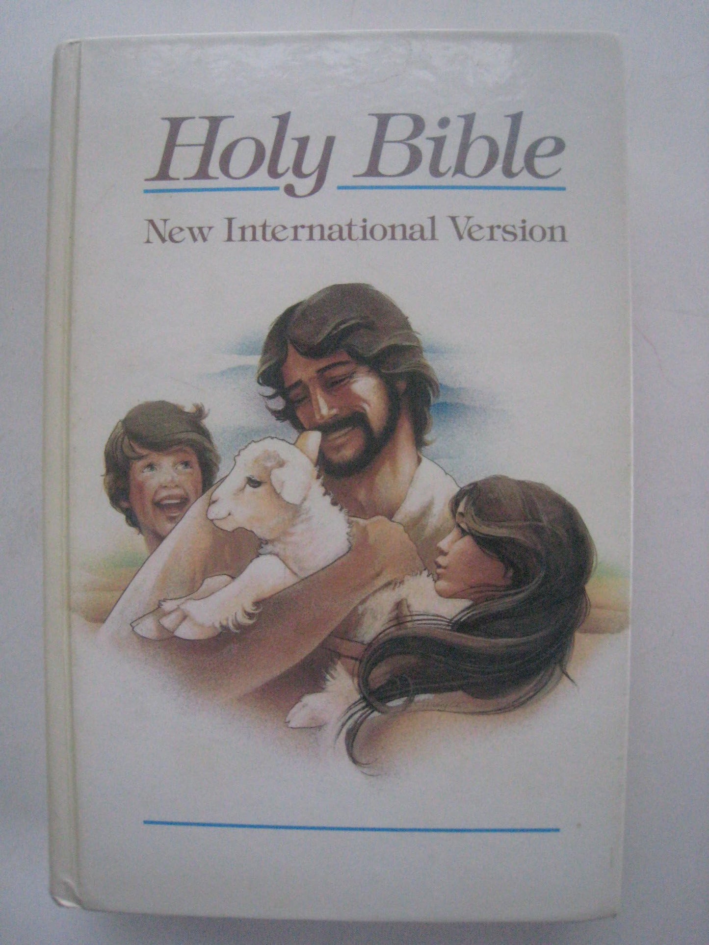NIV Childrens Bible