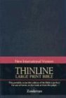 NIV Thinline Bible, Large Print