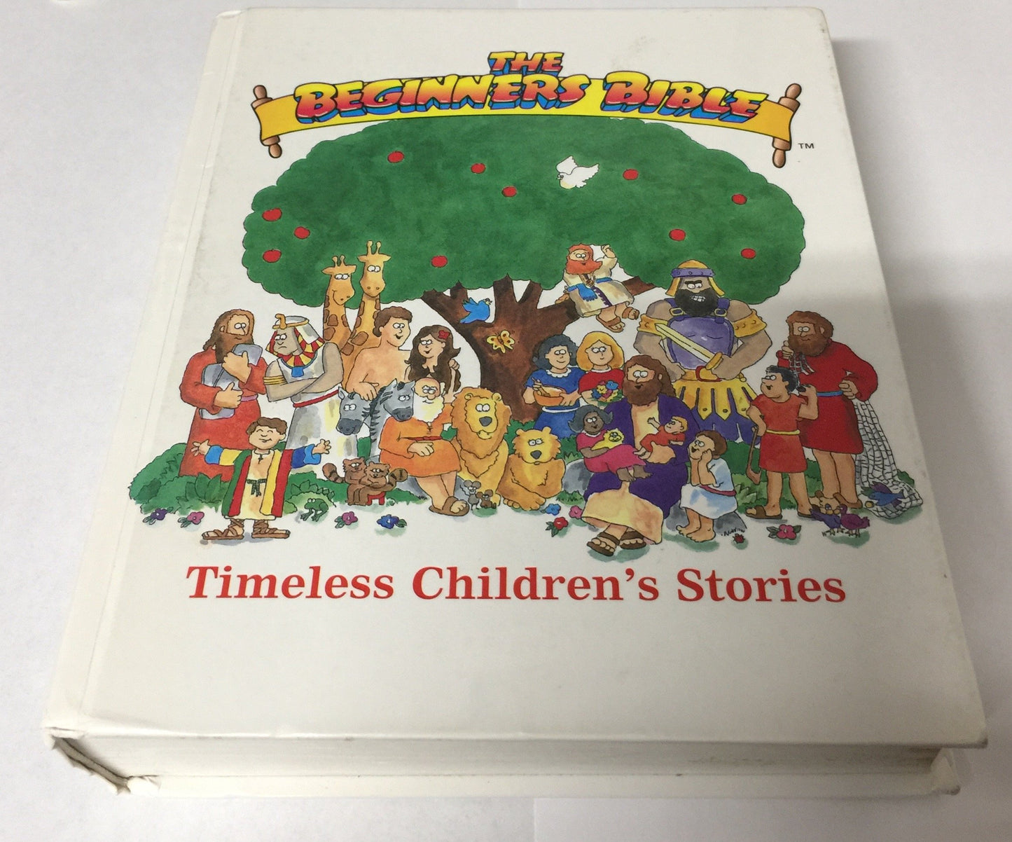 THE BEGINNER'S BIBLE