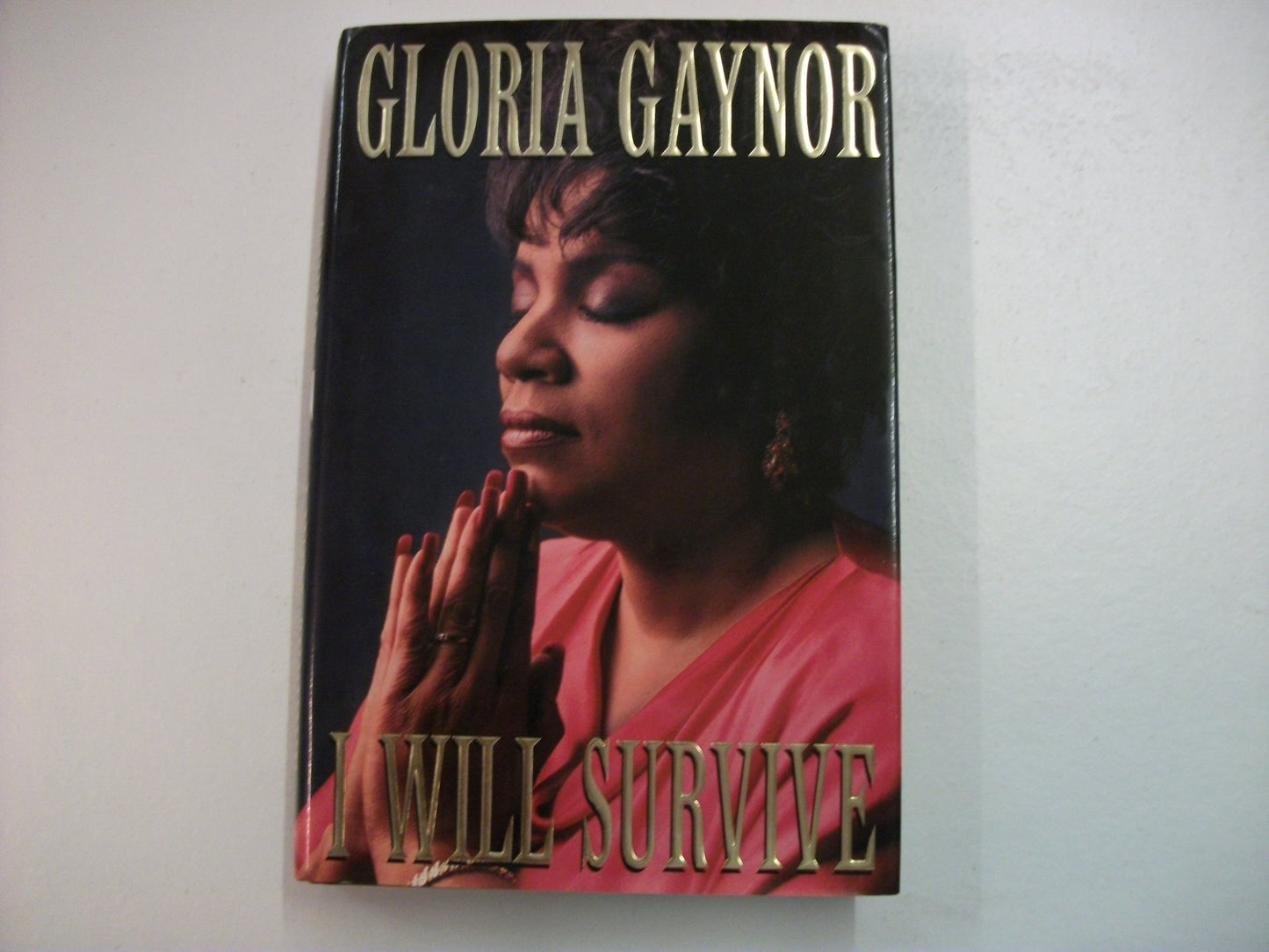 I Will Survive: The Book