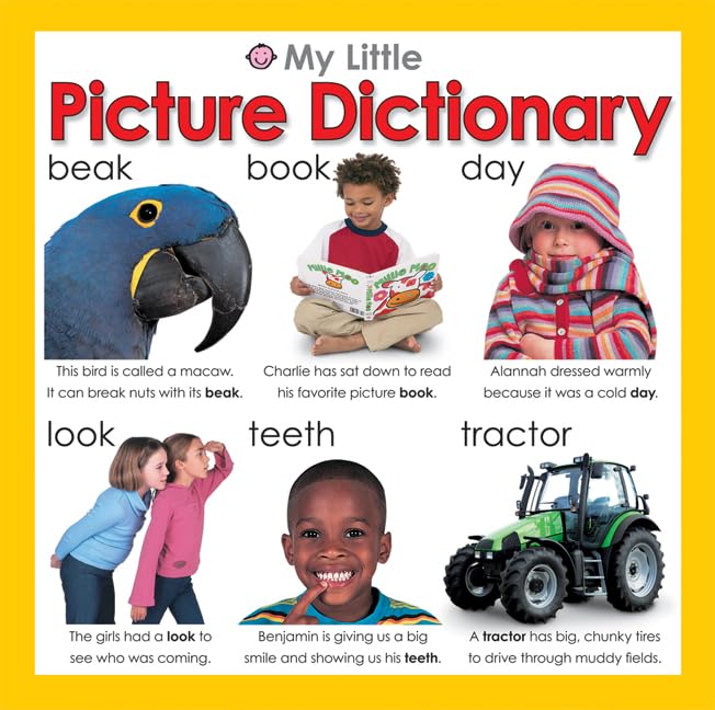 My Little Picture Dictionary