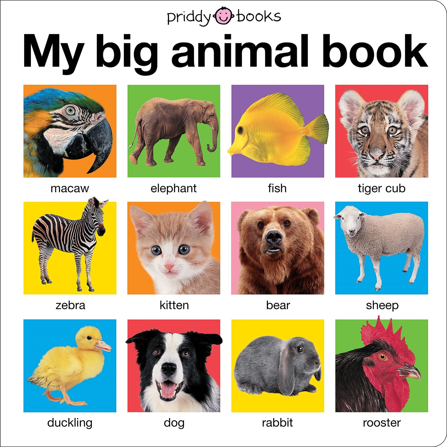 My Big Animal Book (My Big Board Books) - 4378
