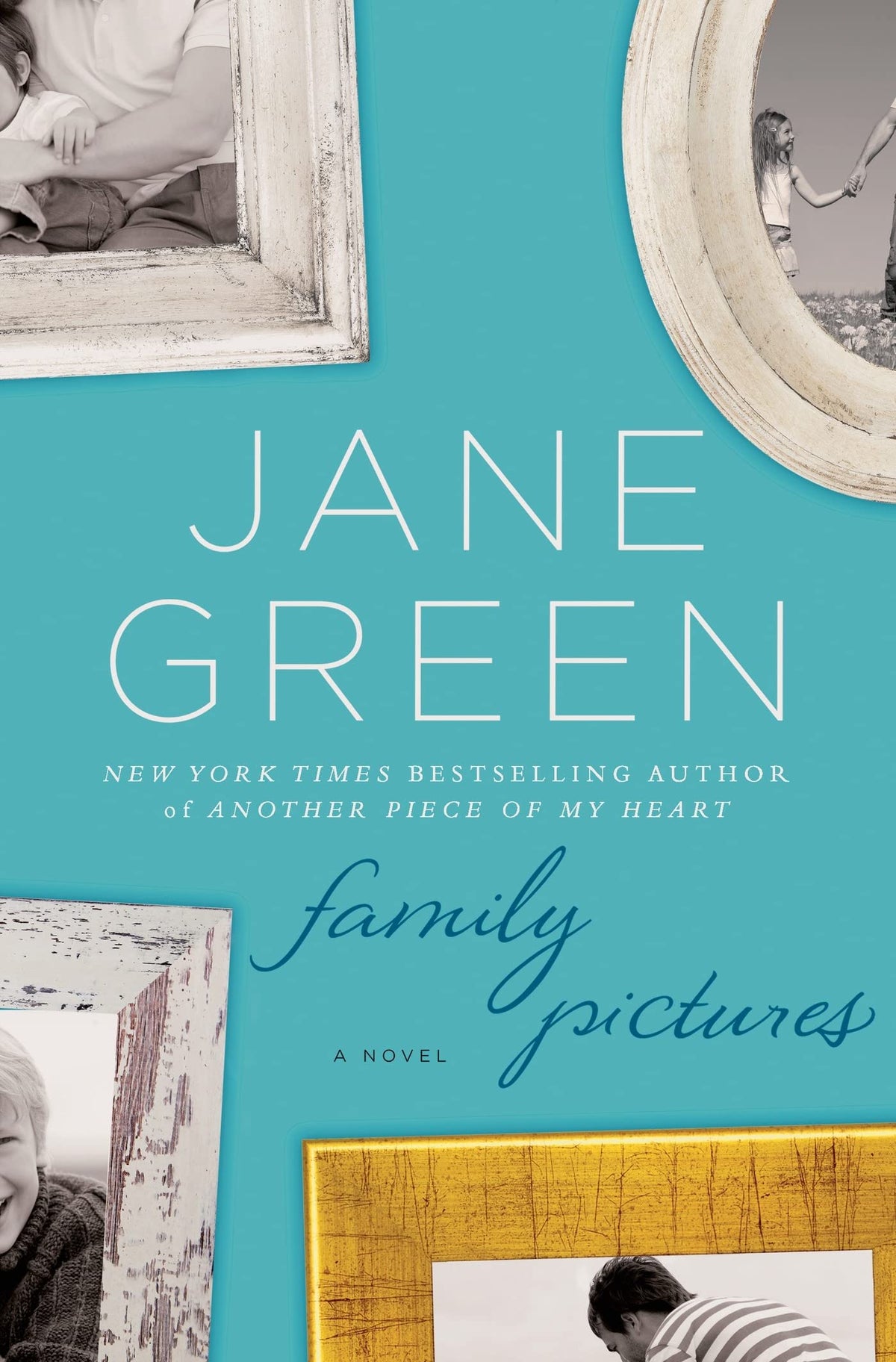 Family Pictures: A Novel