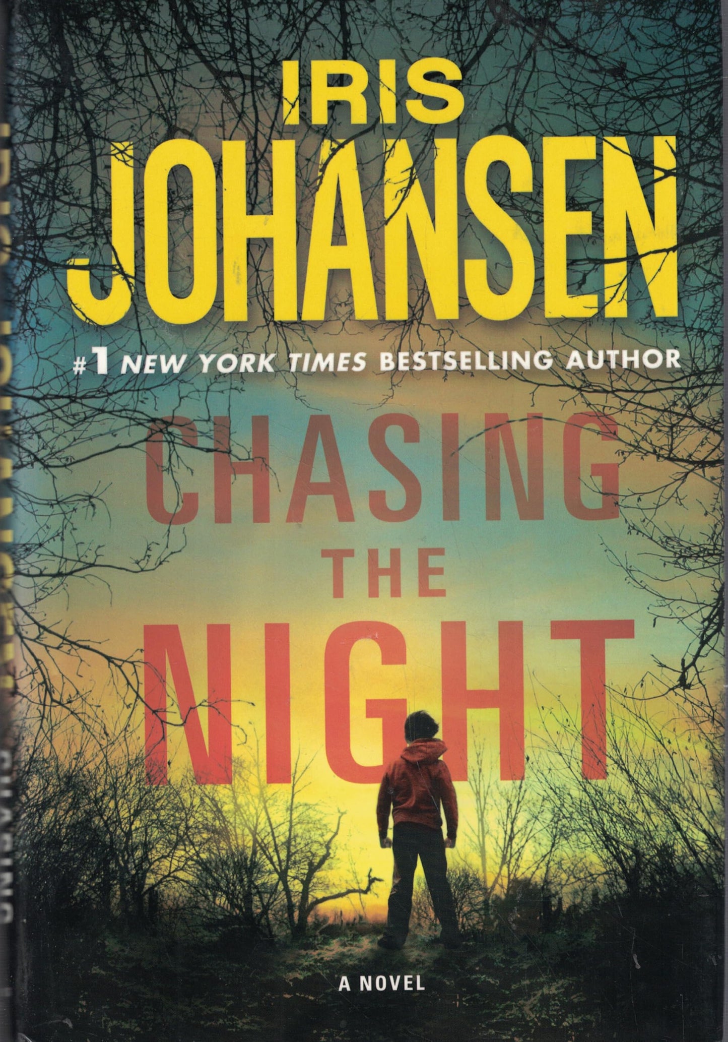 Chasing the Night (Eve Duncan)