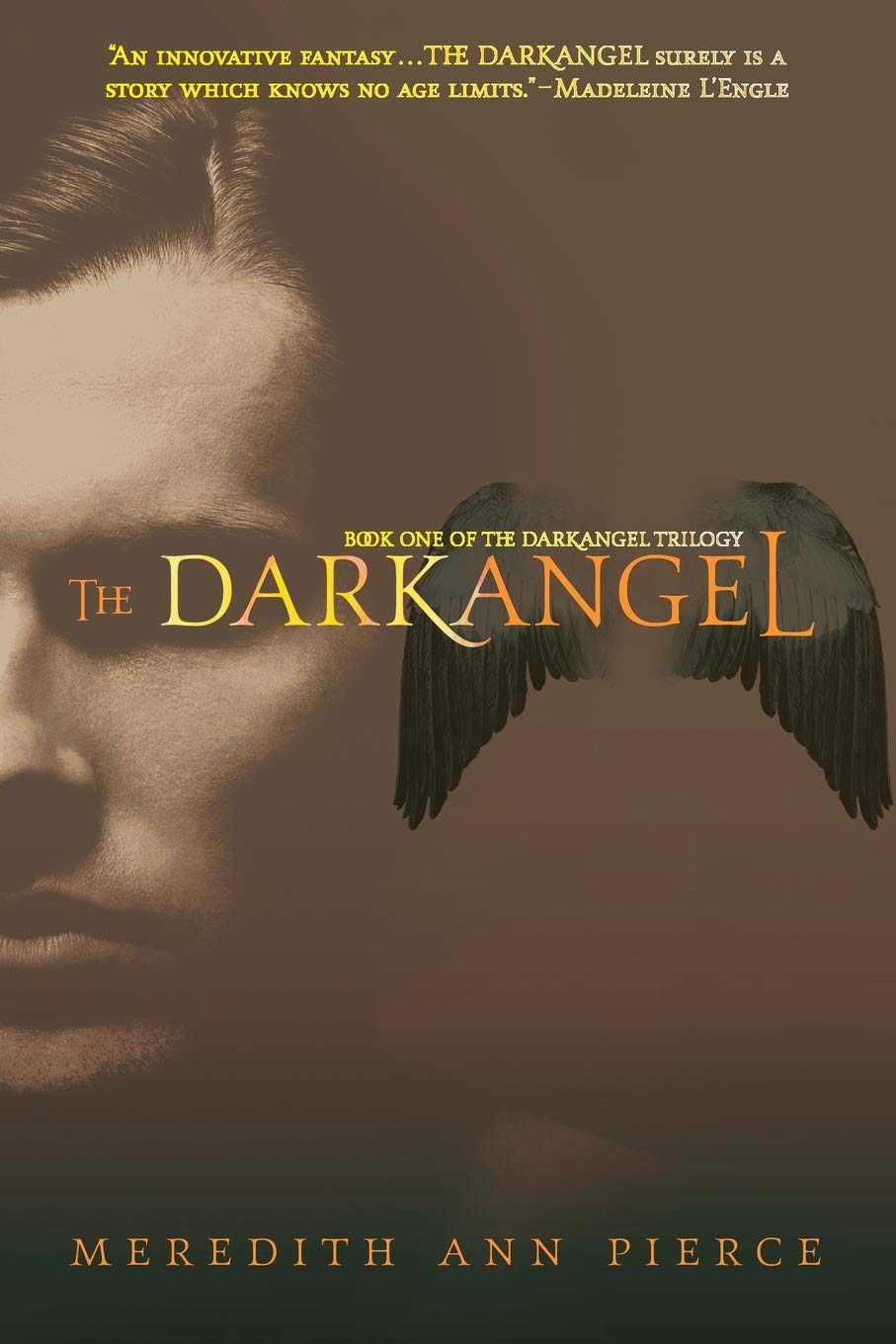 The Darkangel (The Darkangel Trilogy)